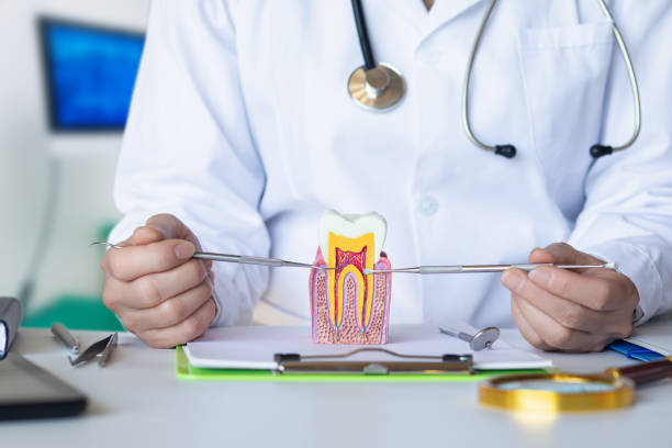 Best Emergency Treatment for Toothache in North Platte, NE
